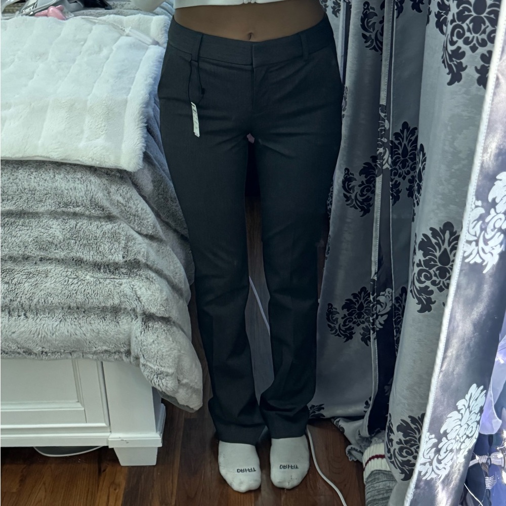 Express Dress Pants